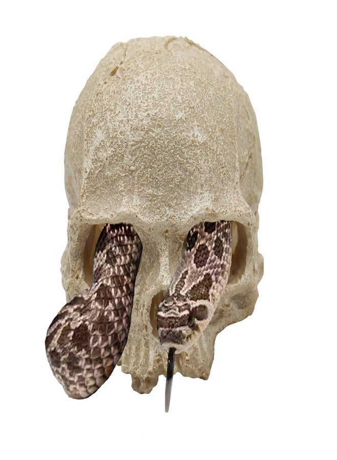 Oooct Snake Hideout, Reptile Aquarium Skull Decor, Resin Skeleton Head Fish Hide, Tank Terrarium Accessories, Reptile Hides and Caves for Fish Bearded Dragon Ball Python Leopard Gecko 4.7 × 3.5 × 3.7 Inch - Image 1